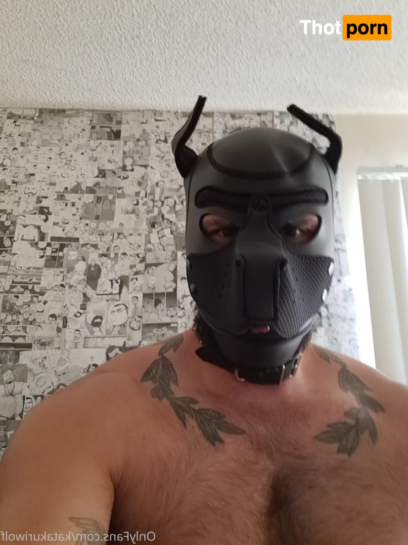 katakurigeorge 5548596