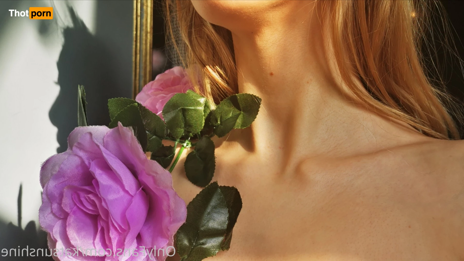 Kat Sunshine 5634040