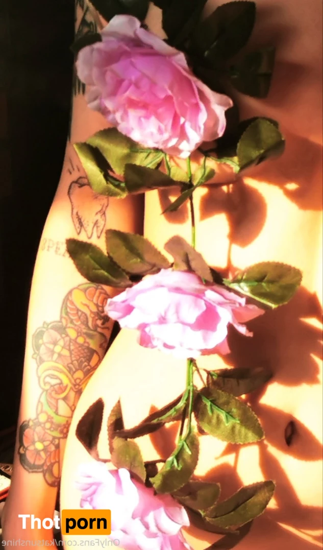 Kat Sunshine 5634267