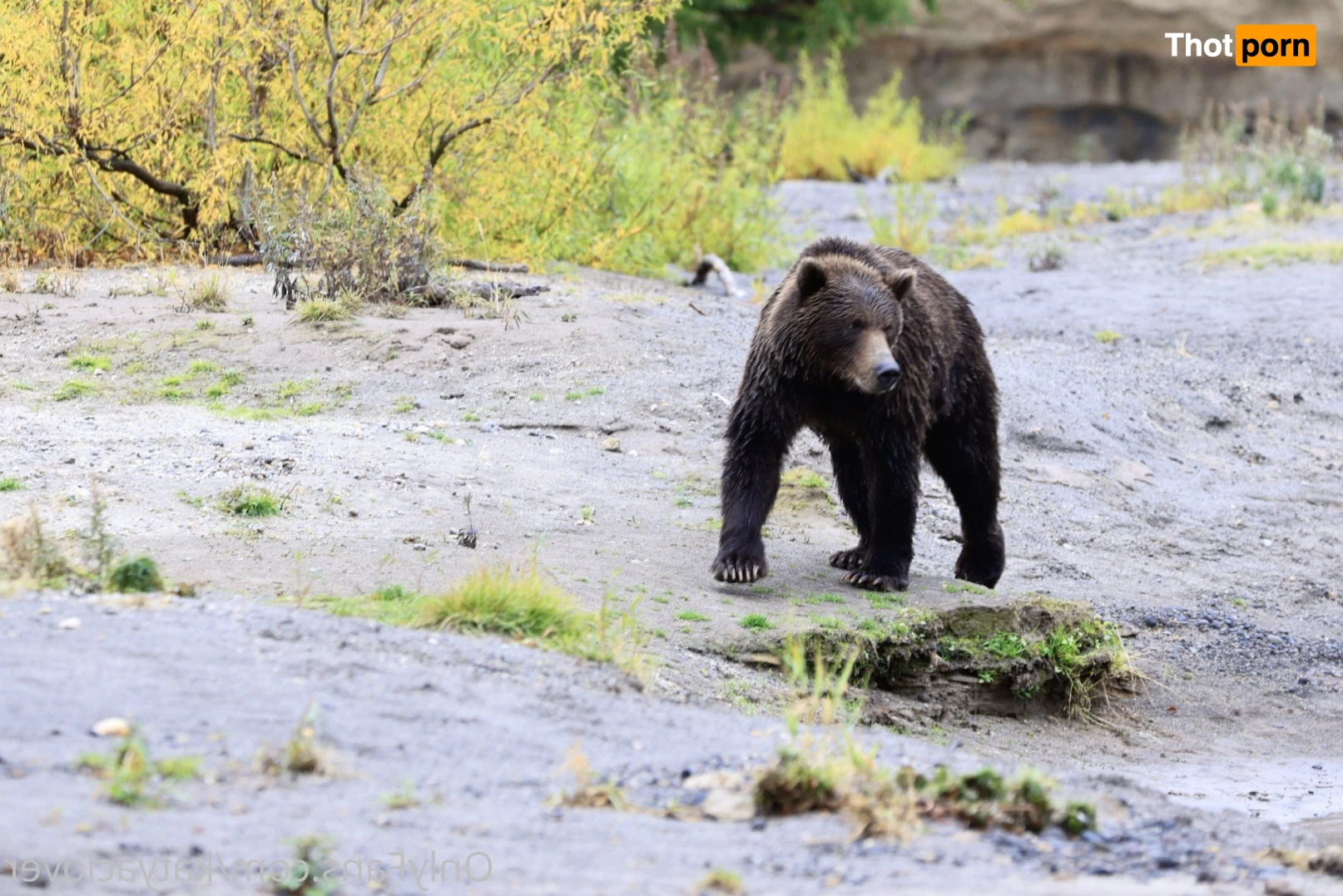 Katya Clover 🍀 natural beauty 💚 9329477