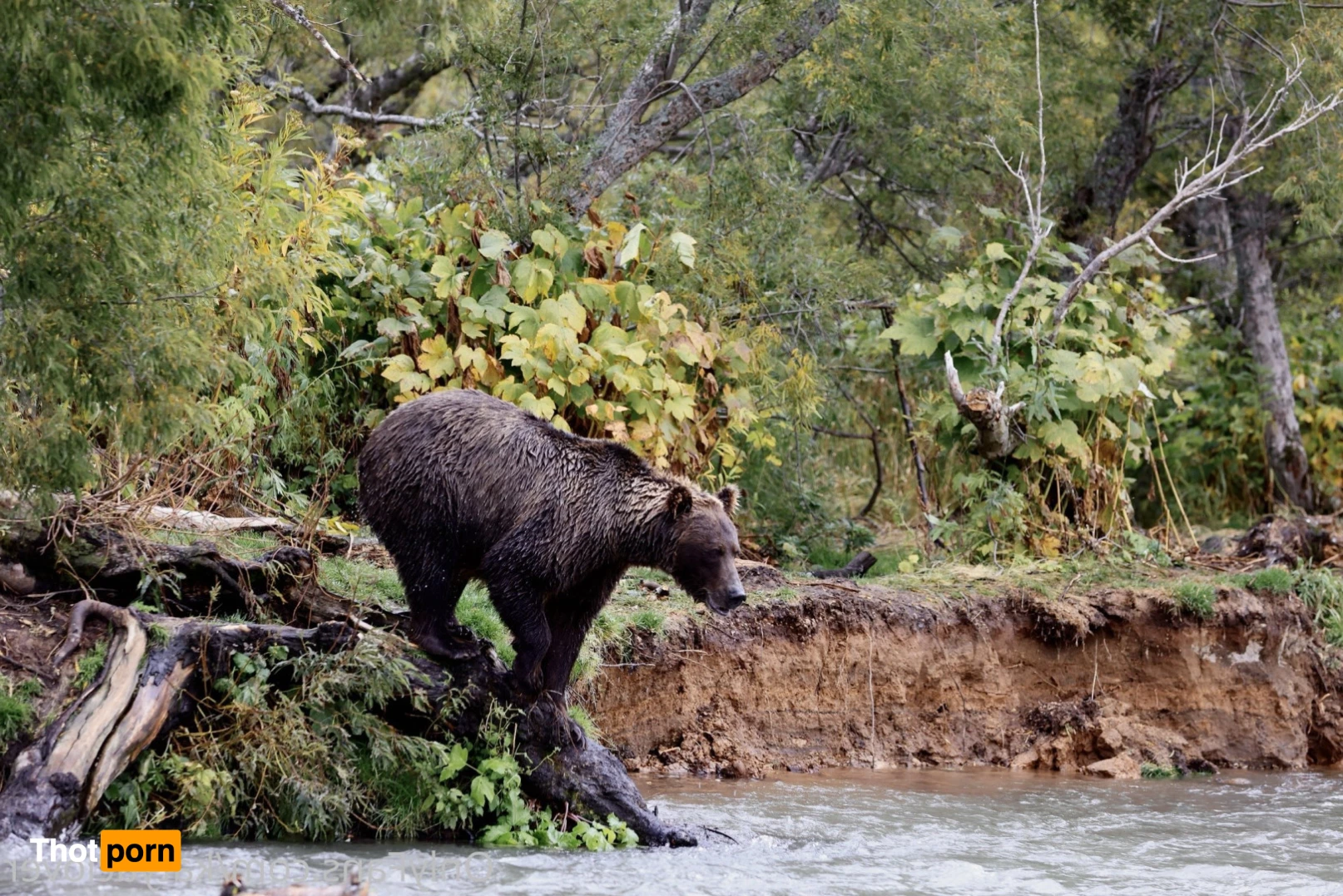 Katya Clover 🍀 natural beauty 💚 9329583