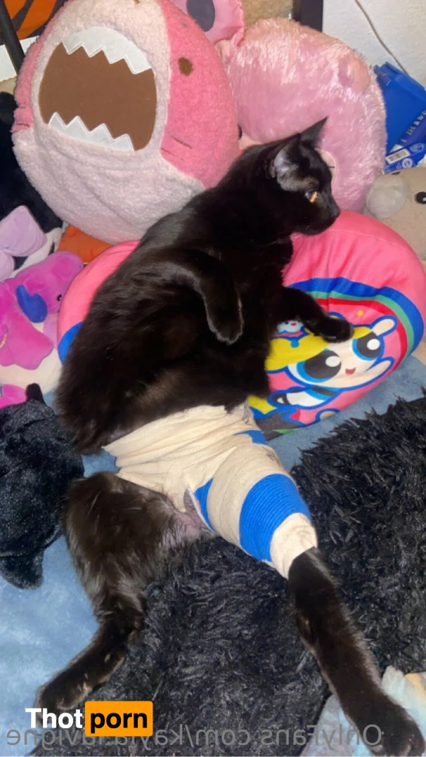 Kayla Lavigne 12019113