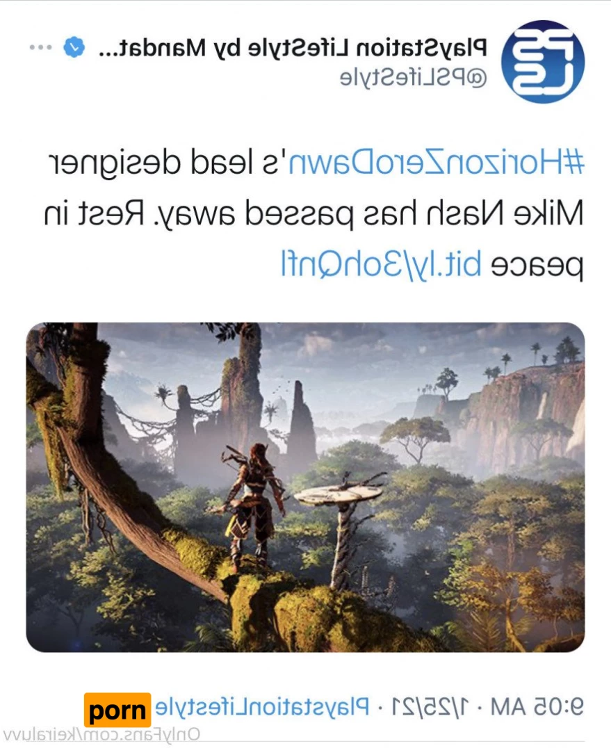 Ashley Phoenix VIP 5467055