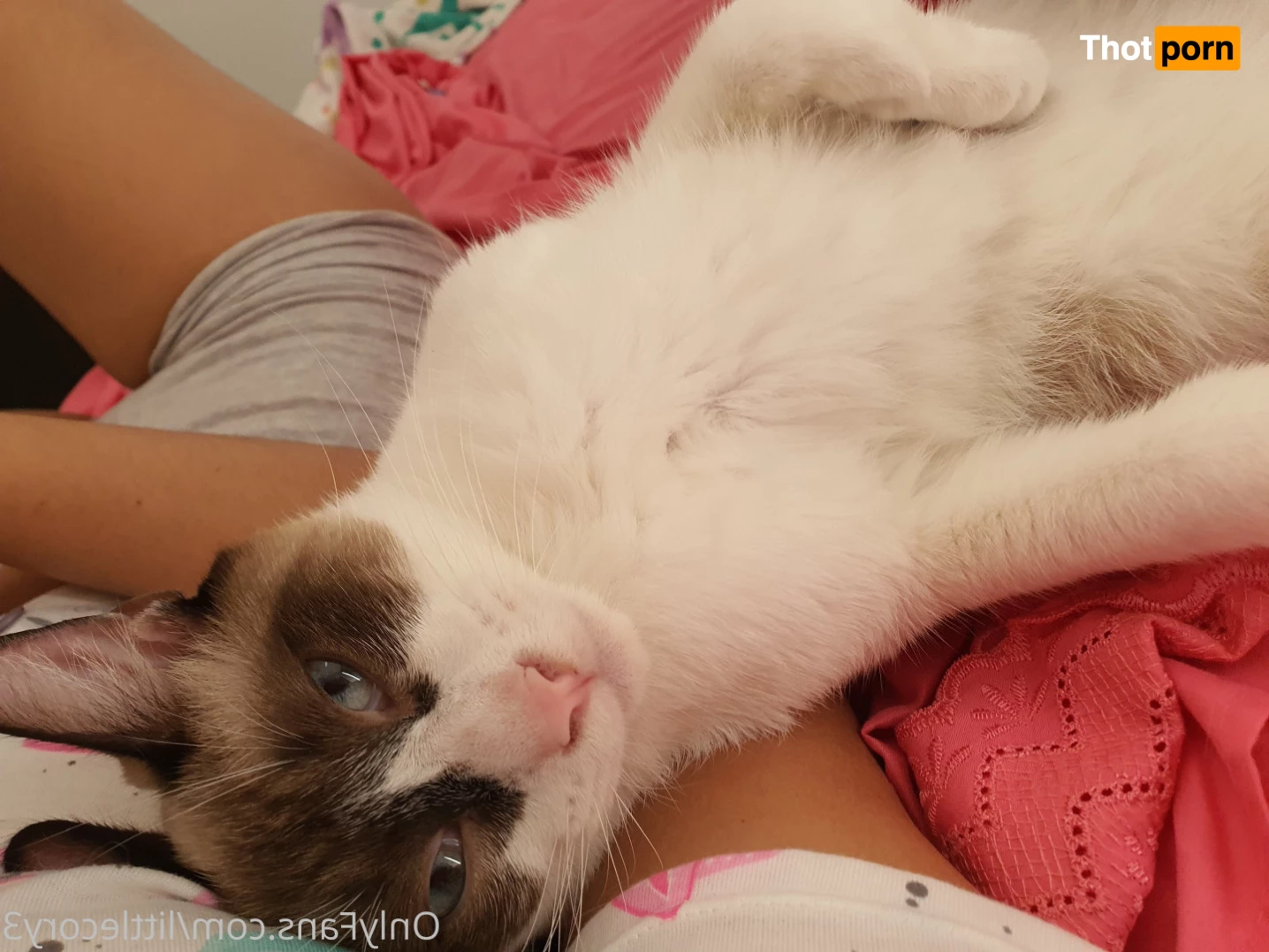 Keylin 👱🏻‍♀️ 5545875