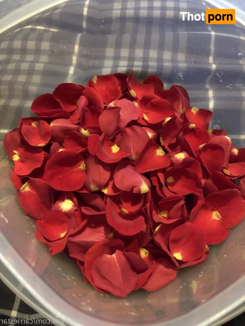 Ahsoka Tanhoe 5452153