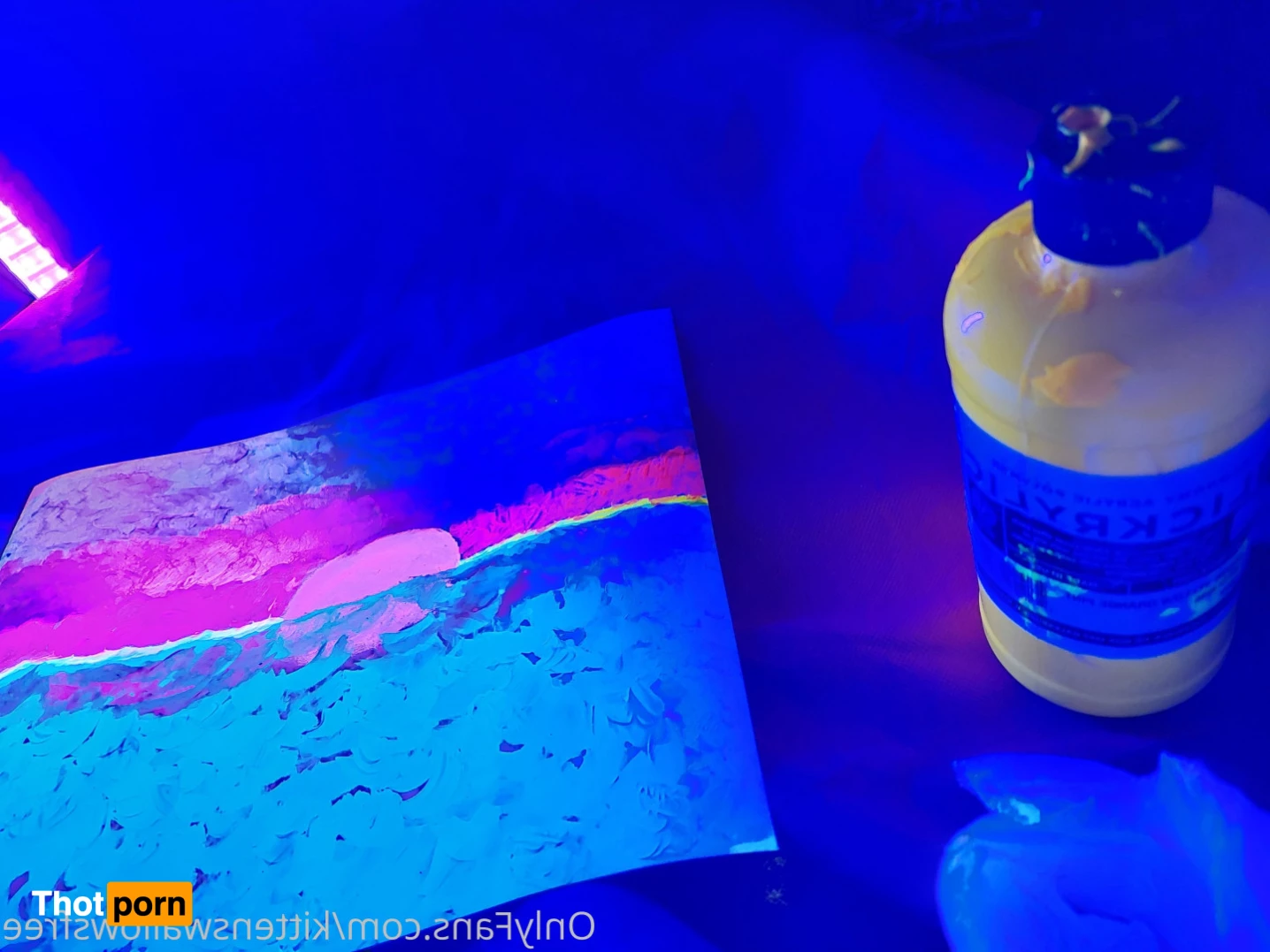 KittenClickbait Store 5528504