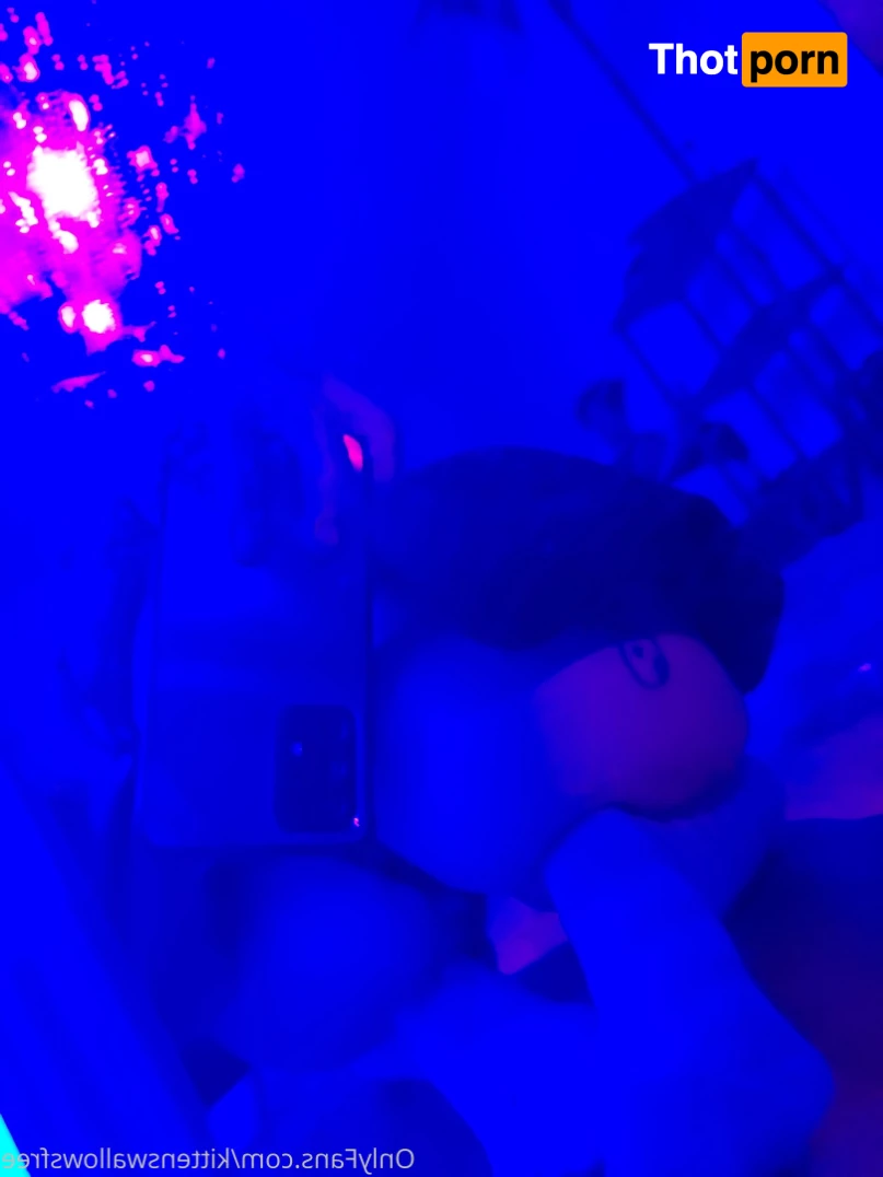 KittenClickbait Store 5528657