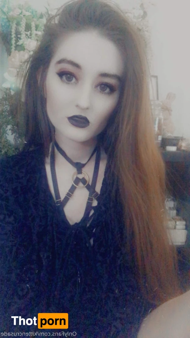 elaine arbor 9309434