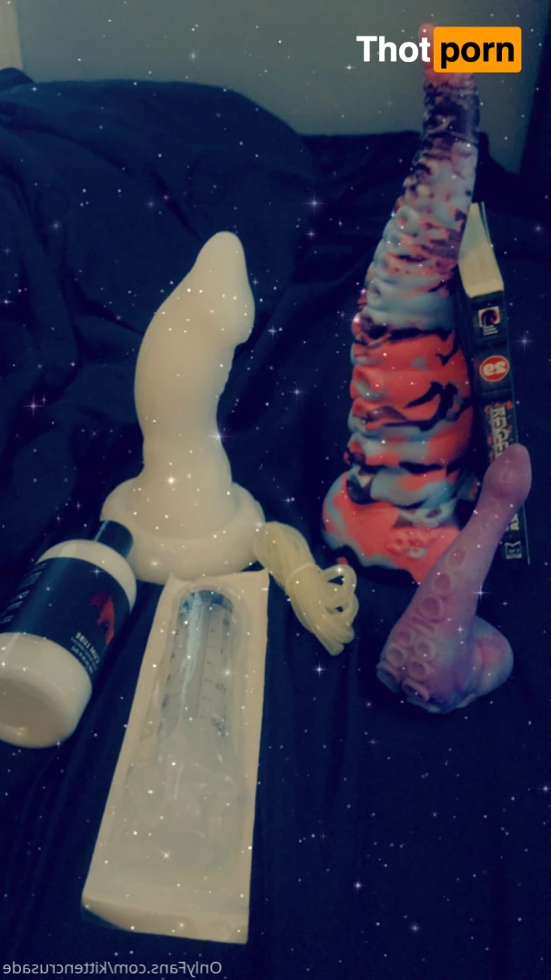 elaine arbor 9309463