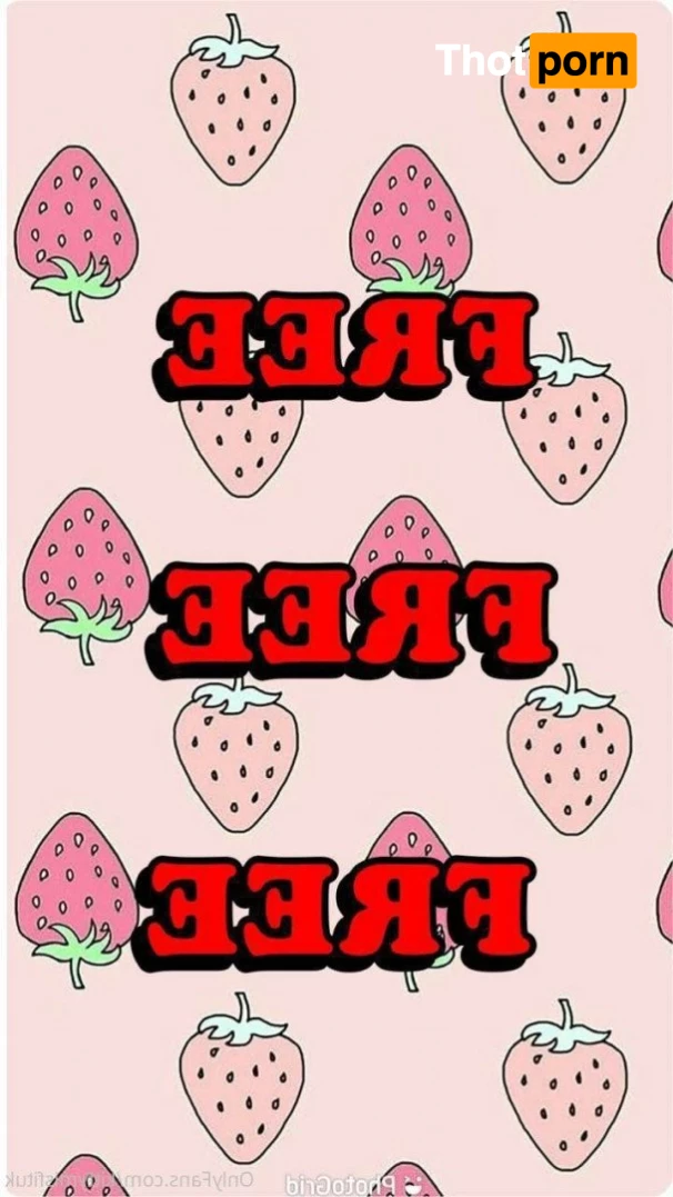 kittymisfituk 5440028