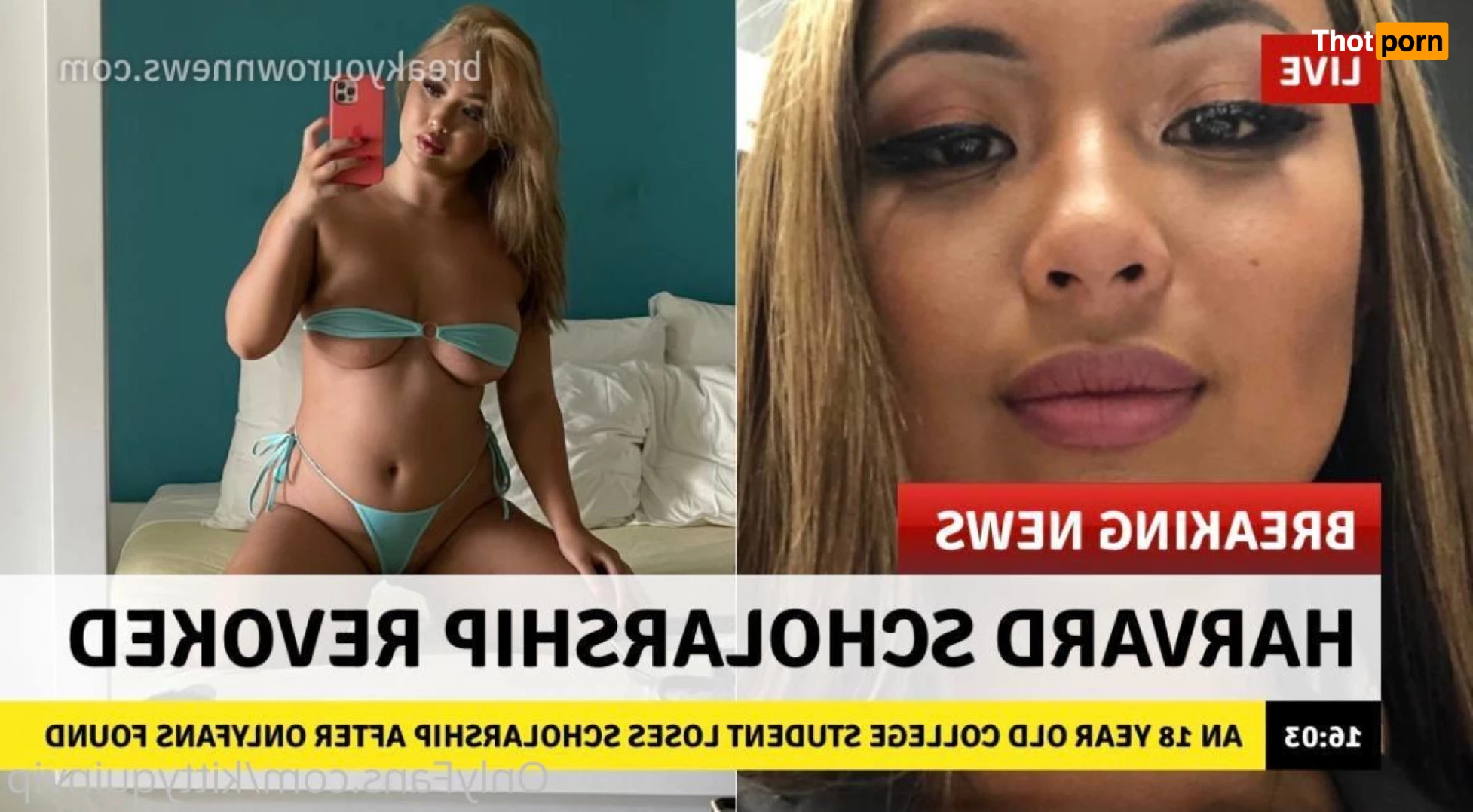 kittyquinvip 5530094