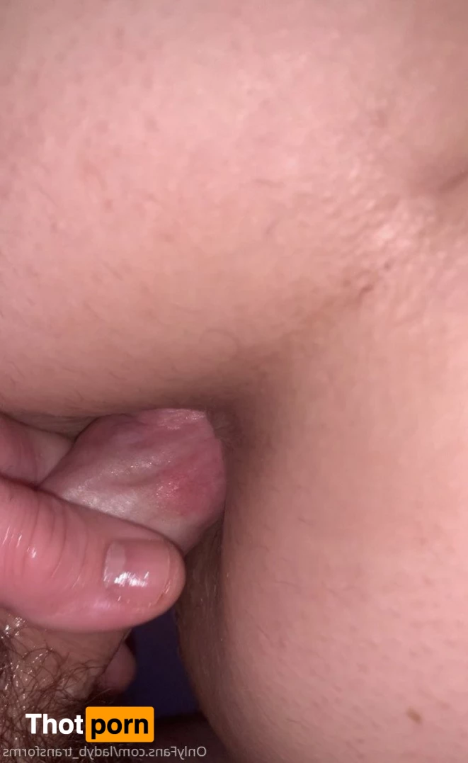 ladyb_transforms 5377903