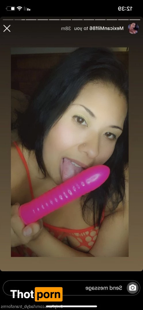 ladyb_transforms 5378424