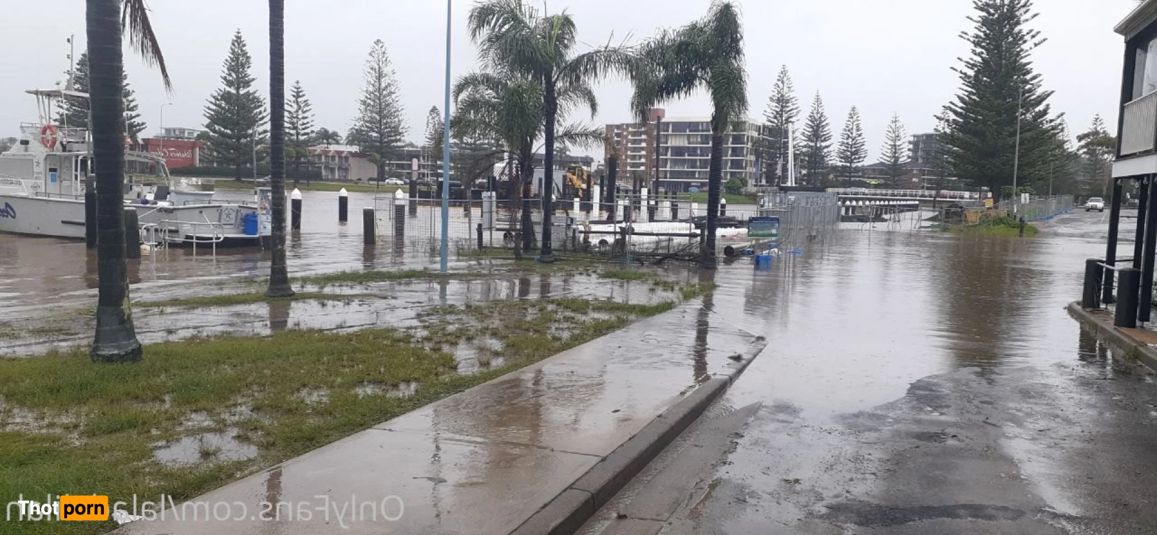 LaLa Delilah 5534262