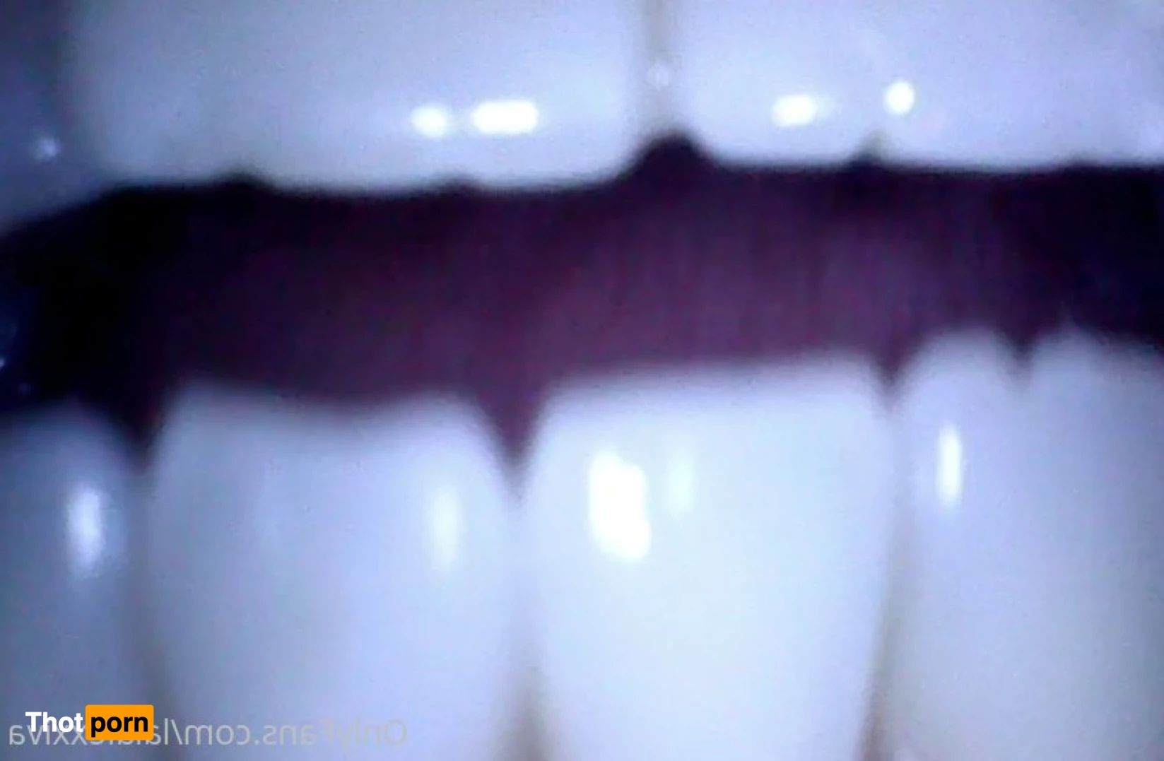 Lexxi and Korra's Sexxy Horse Club 9514761