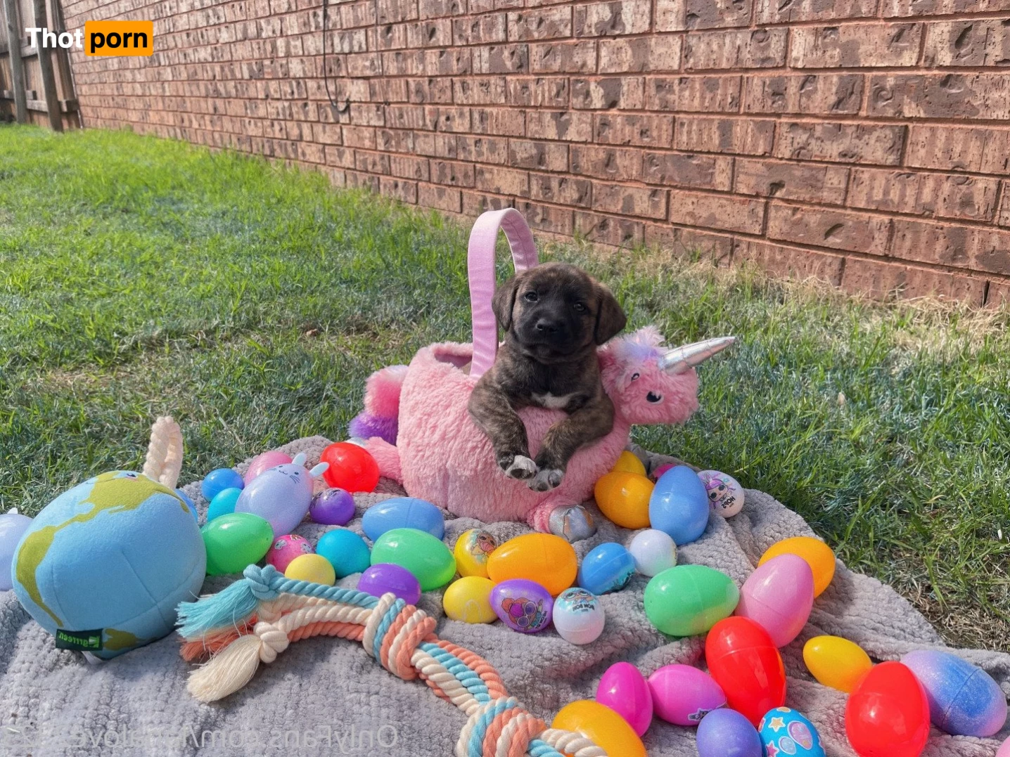 lanalove2323 5376812