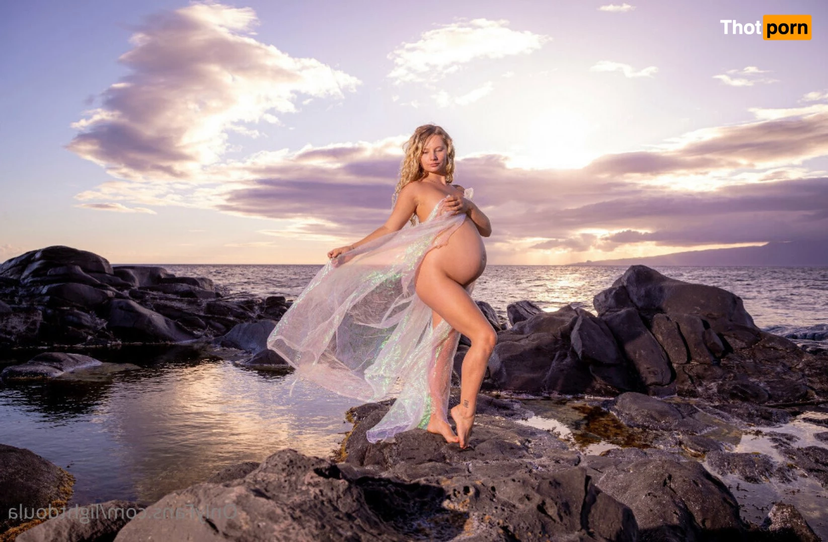 The Naked Truth Fairy 5501359