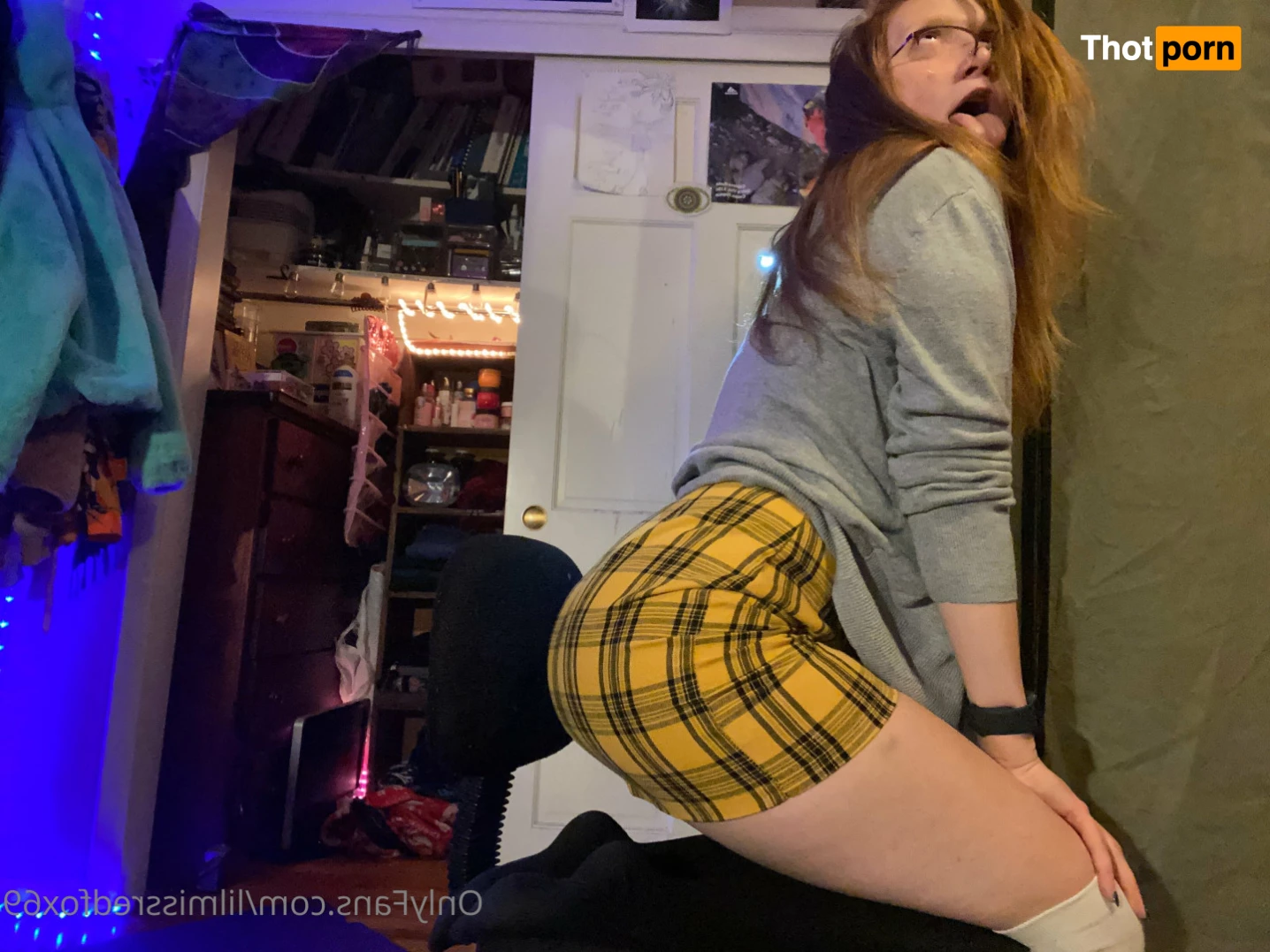 RED FOX ‼️😻 5529670