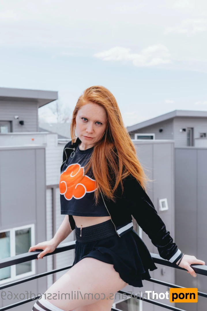 RED FOX ‼️😻 11734663