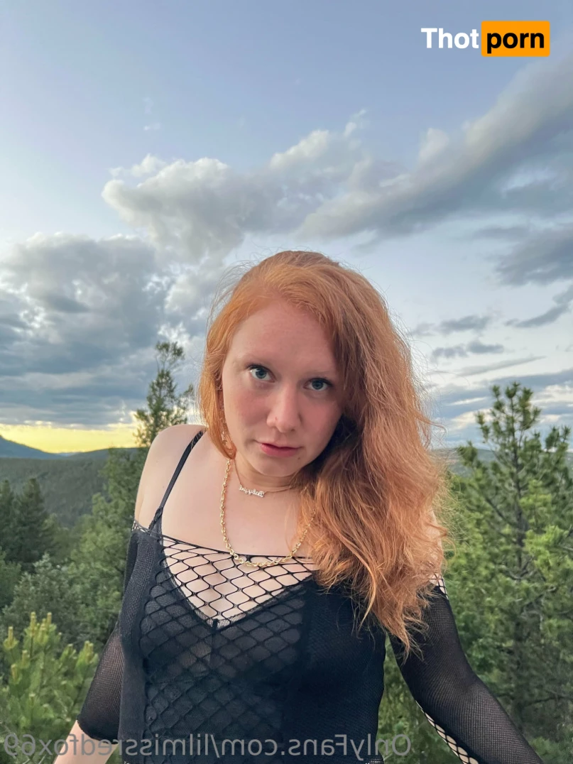 RED FOX ‼️😻 11734789