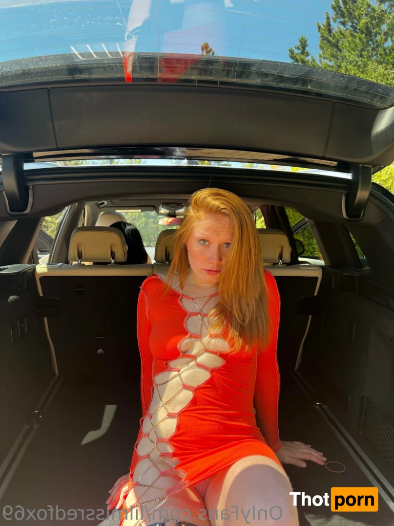 RED FOX ‼️😻 11734821