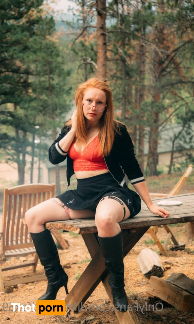 RED FOX ‼️😻 16540209