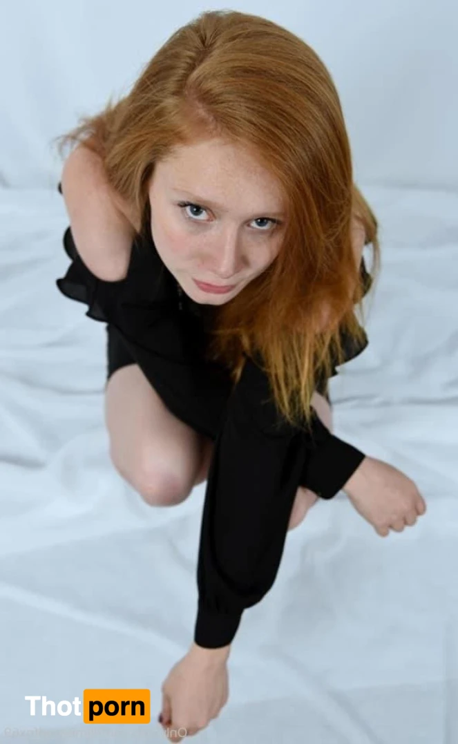 RED FOX ‼️😻 16541147