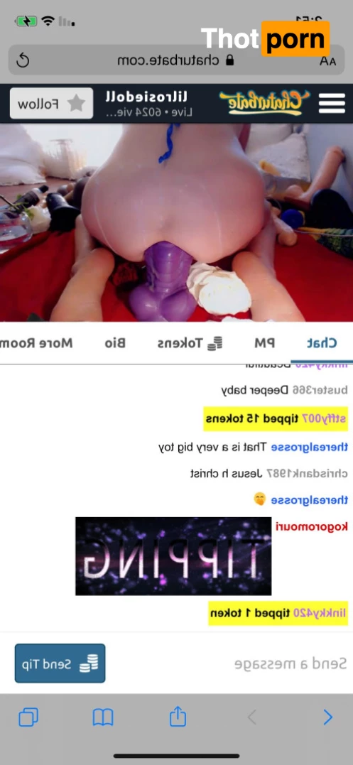 Lilrosiedoll 5587648