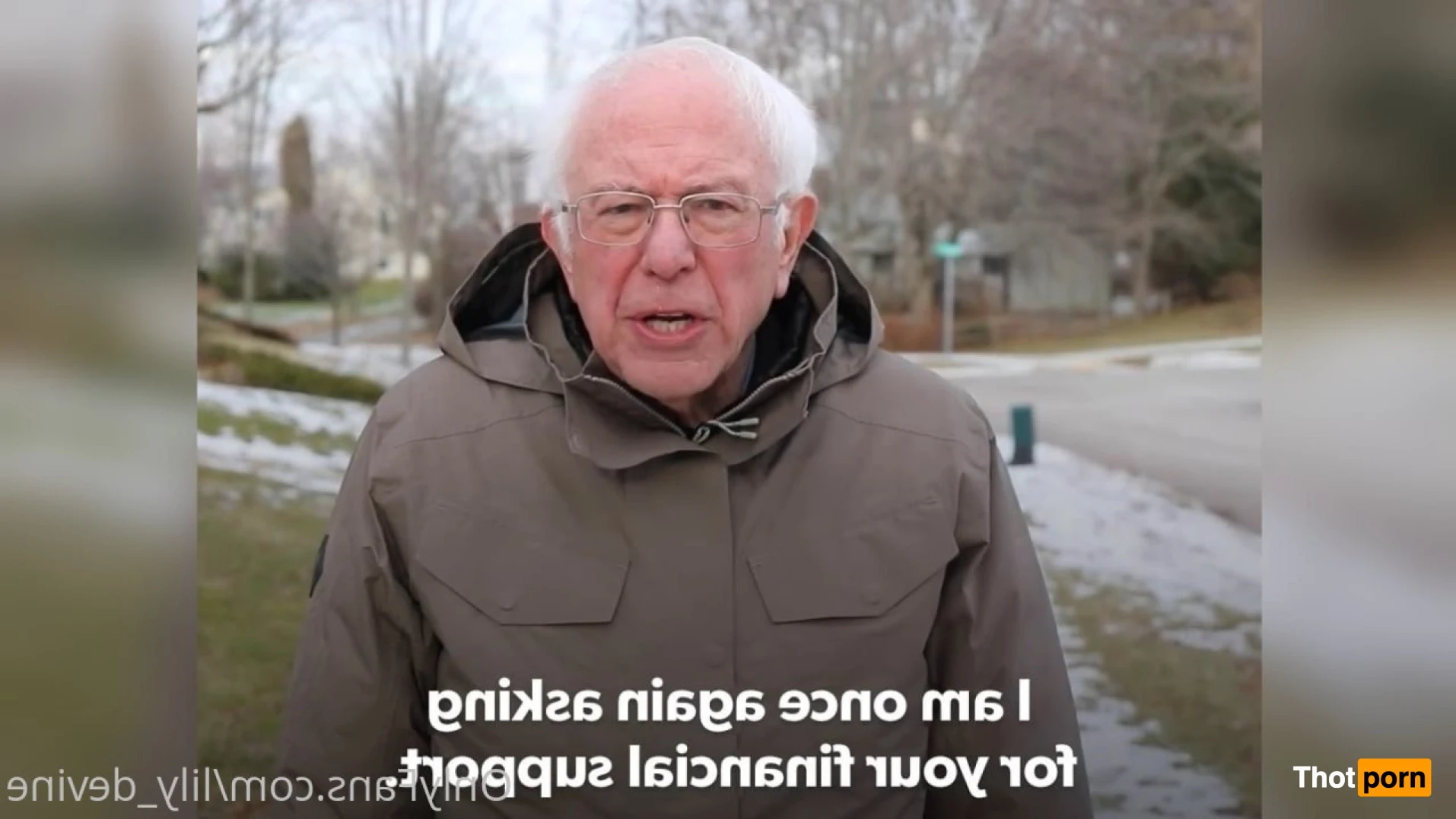 Sophia Rose 11692162