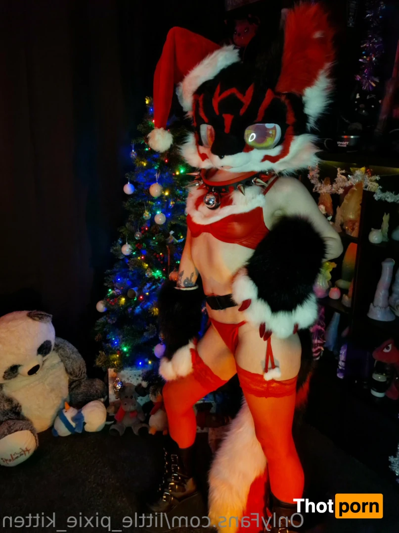 𝕷𝖎𝖙𝖙𝖑𝖊 𝕻𝖎𝖝𝖎𝖊 𝕶𝖎𝖙𝖙𝖊𝖓 13254424