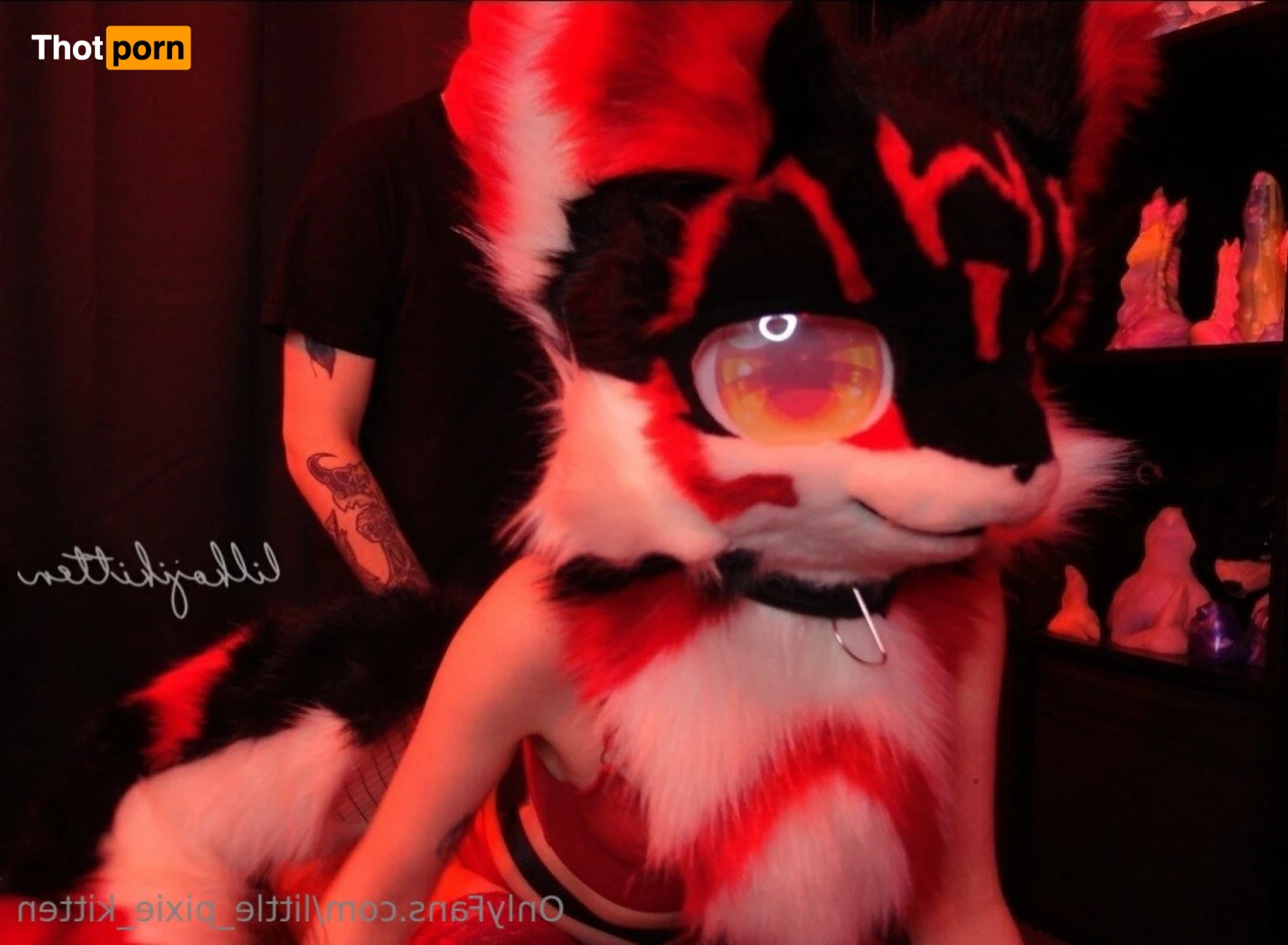 𝕷𝖎𝖙𝖙𝖑𝖊 𝕻𝖎𝖝𝖎𝖊 𝕶𝖎𝖙𝖙𝖊𝖓 13255015