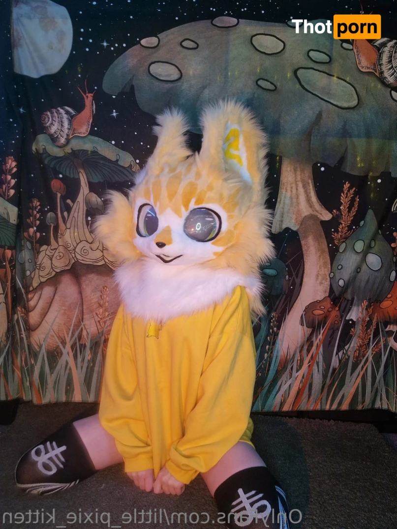 𝕷𝖎𝖙𝖙𝖑𝖊 𝕻𝖎𝖝𝖎𝖊 𝕶𝖎𝖙𝖙𝖊𝖓 13255530