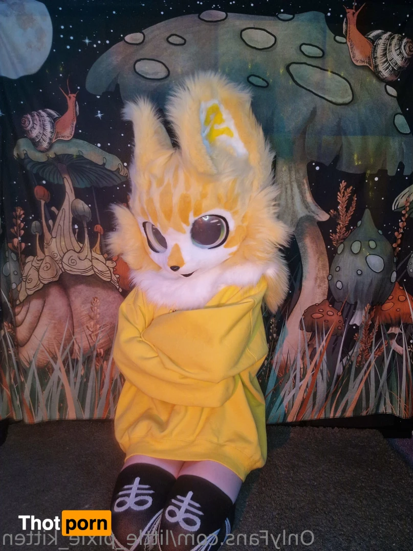 𝕷𝖎𝖙𝖙𝖑𝖊 𝕻𝖎𝖝𝖎𝖊 𝕶𝖎𝖙𝖙𝖊𝖓 13256448