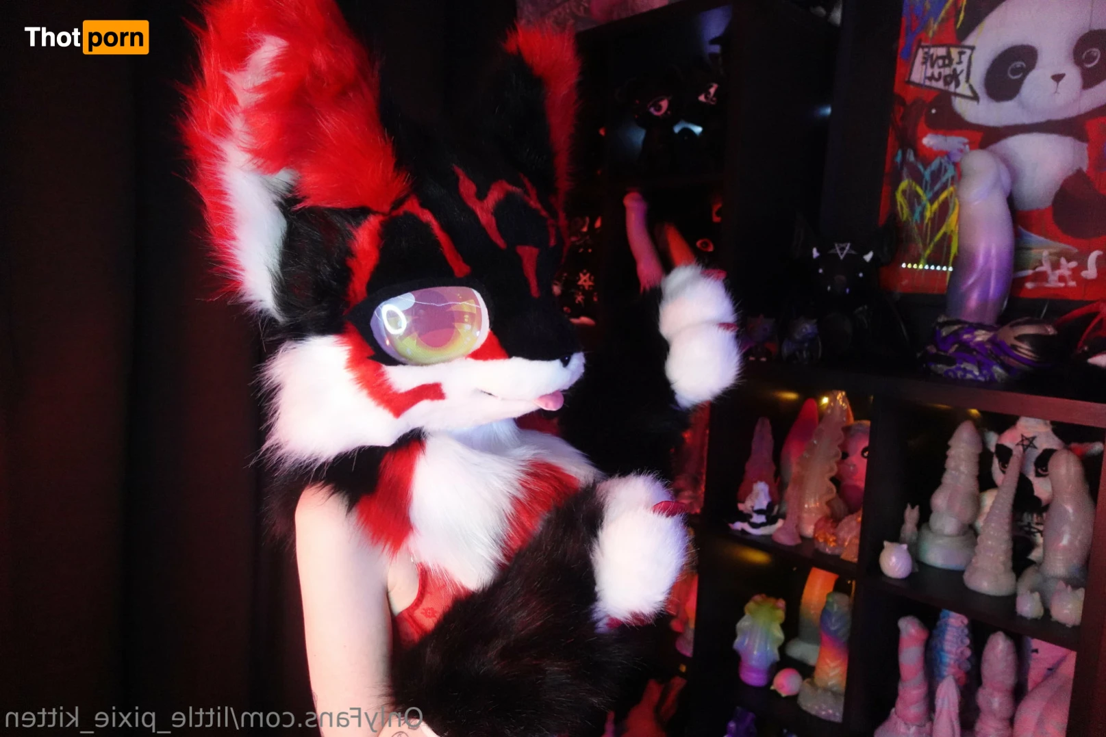 𝕷𝖎𝖙𝖙𝖑𝖊 𝕻𝖎𝖝𝖎𝖊 𝕶𝖎𝖙𝖙𝖊𝖓 13257387