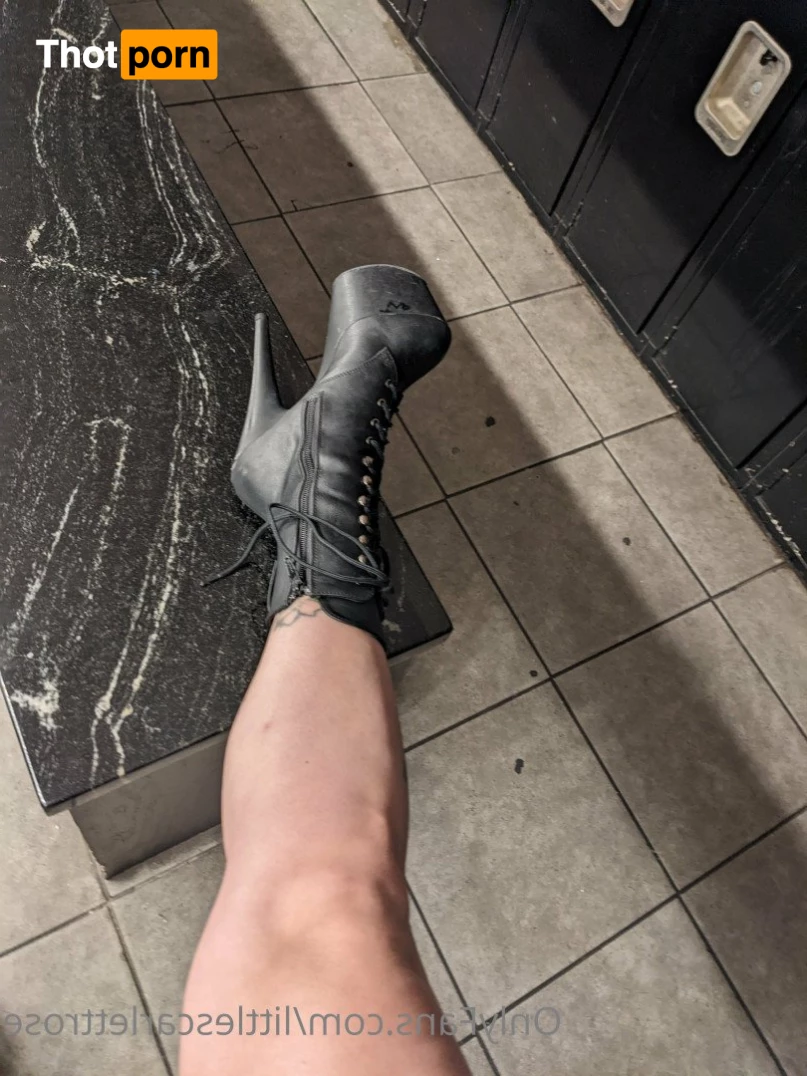 Scarlett Rose 5491946