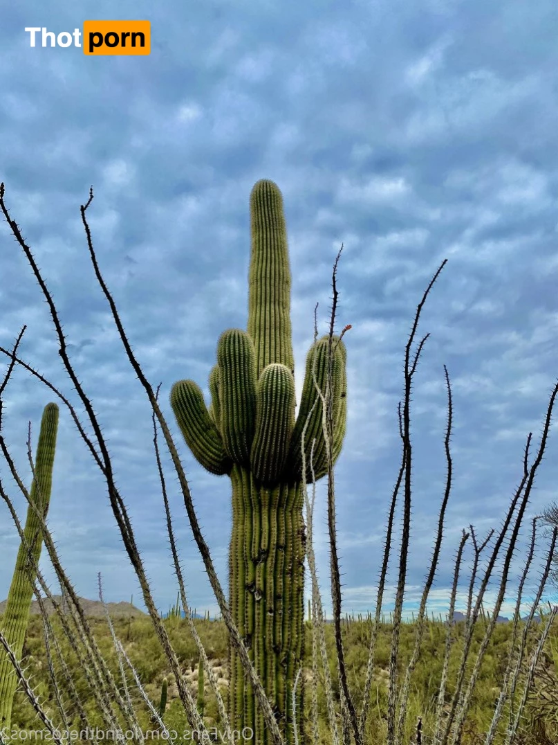 loandthecosmos2 5438773