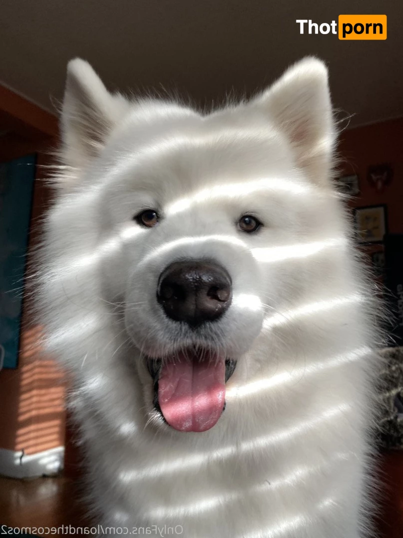 loandthecosmos2 5438787