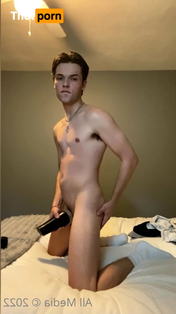 Logan's Funhouse 5391701