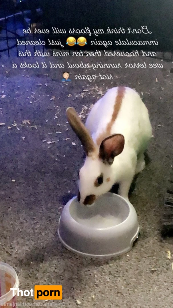 Chercules Sarkisian 5389697