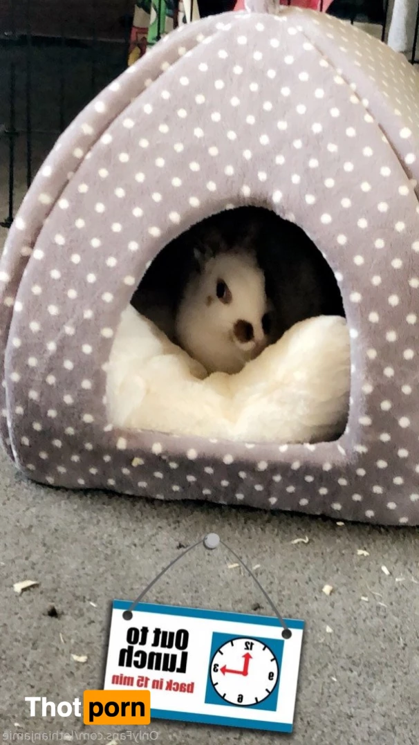 Chercules Sarkisian 5389807