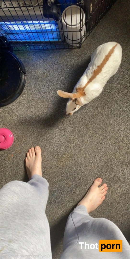 Chercules Sarkisian 5389822