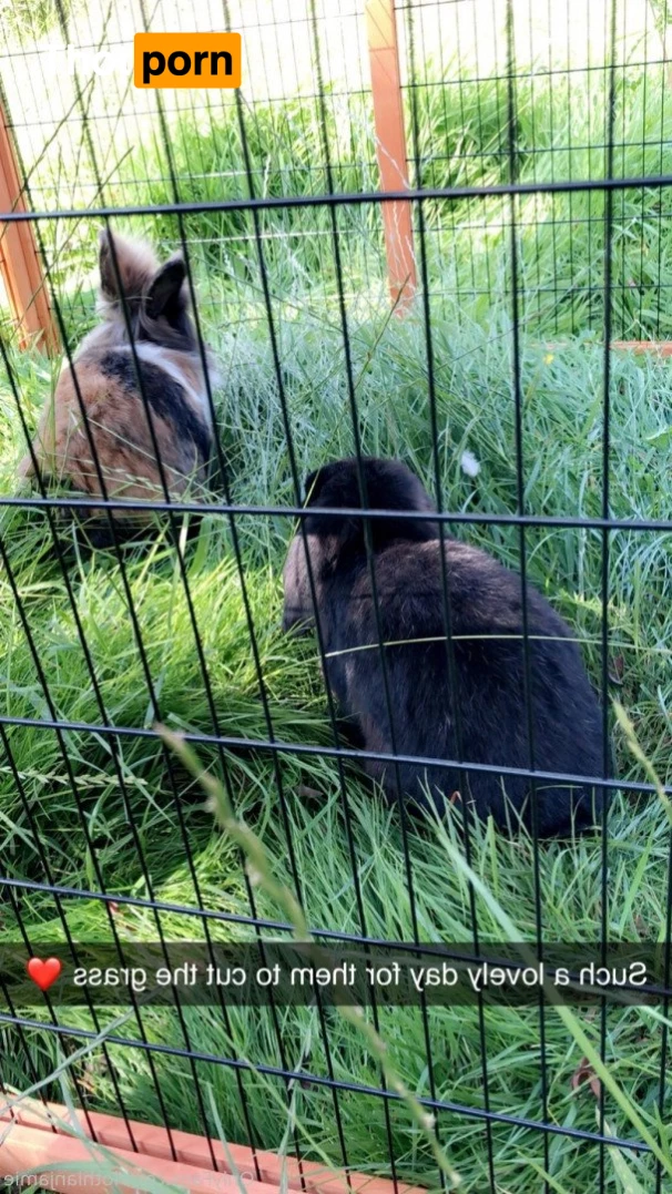 Chercules Sarkisian 5389867