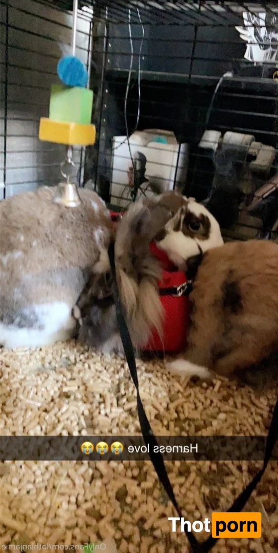 Chercules Sarkisian 5389894