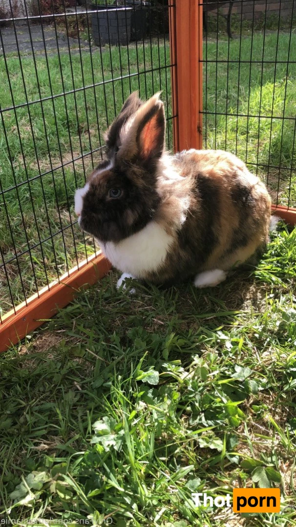 Chercules Sarkisian 5390167