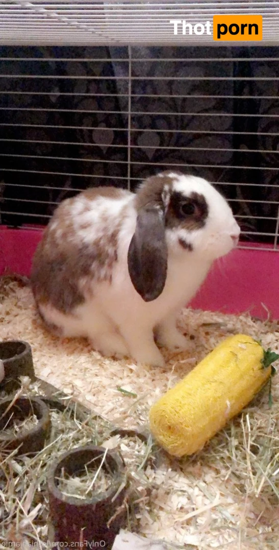 Chercules Sarkisian 5390526