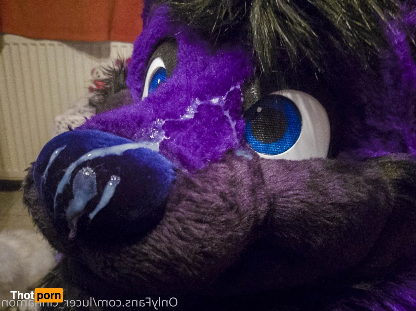 lucer_cinnamon 5386210