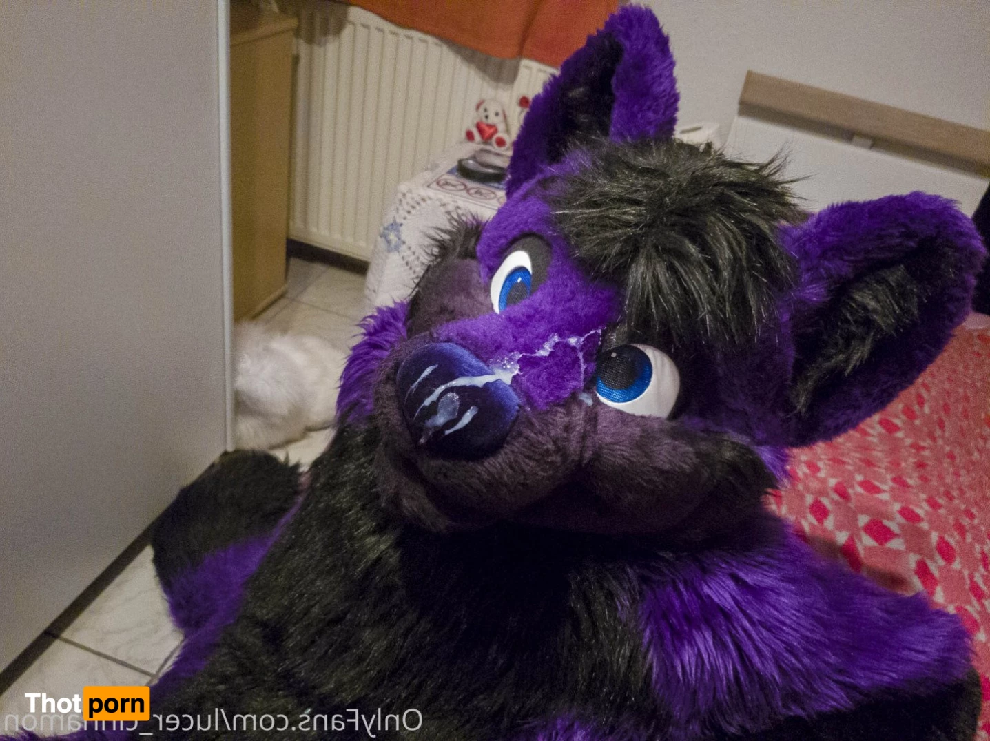 lucer_cinnamon 5386413