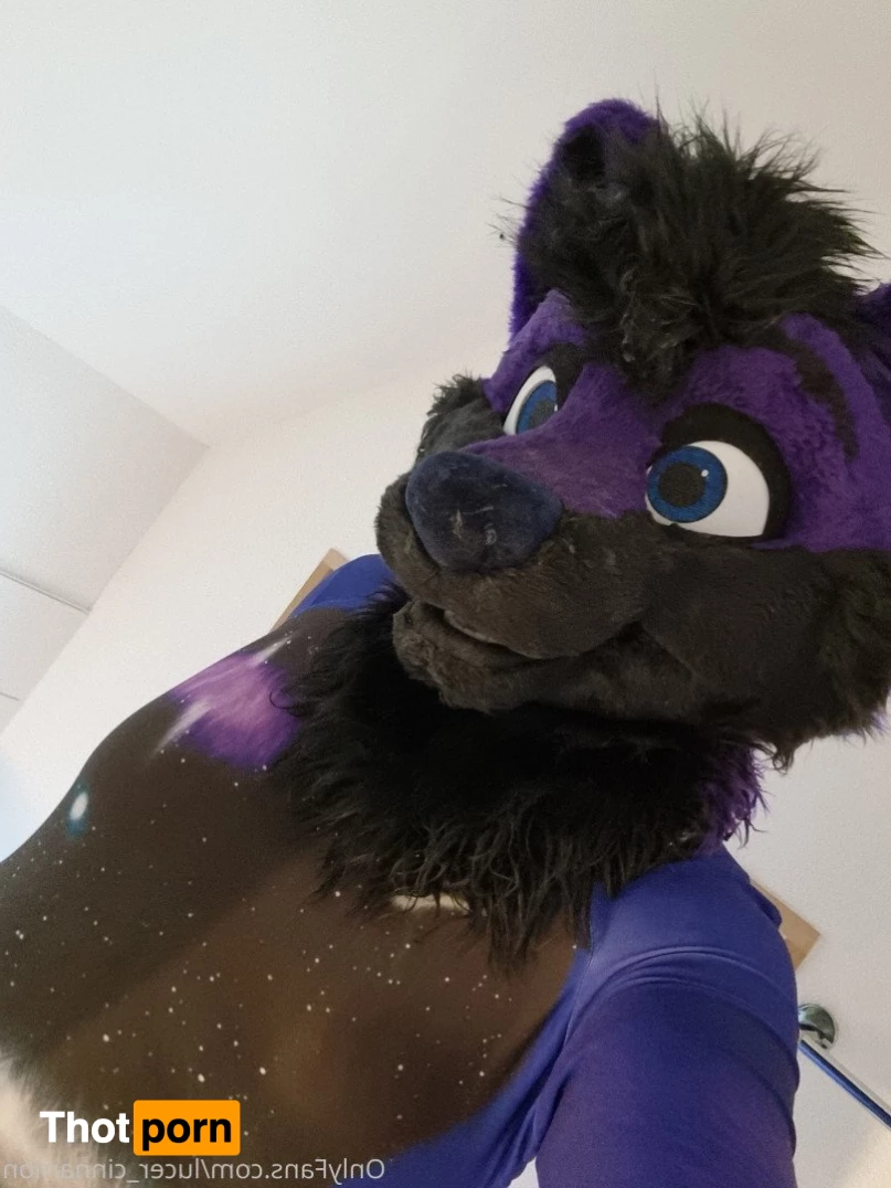 lucer_cinnamon 5386476