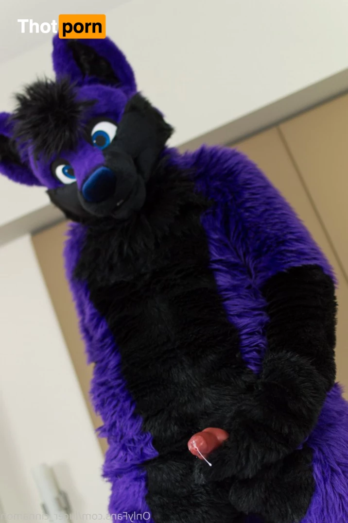 lucer_cinnamon 5386509