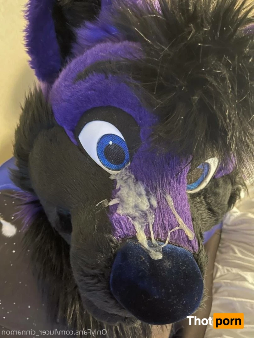 lucer_cinnamon 5386570